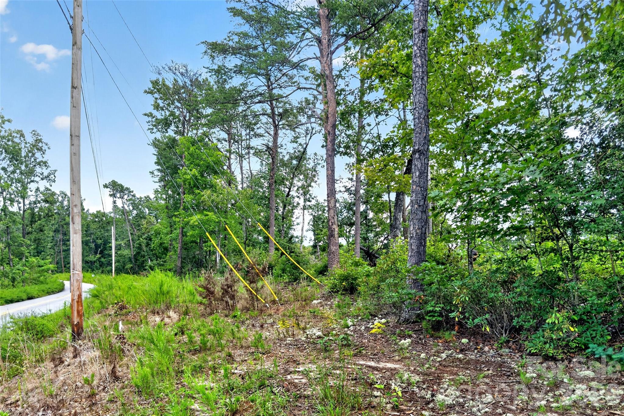 Tbd Boland Drive Property Photo 23