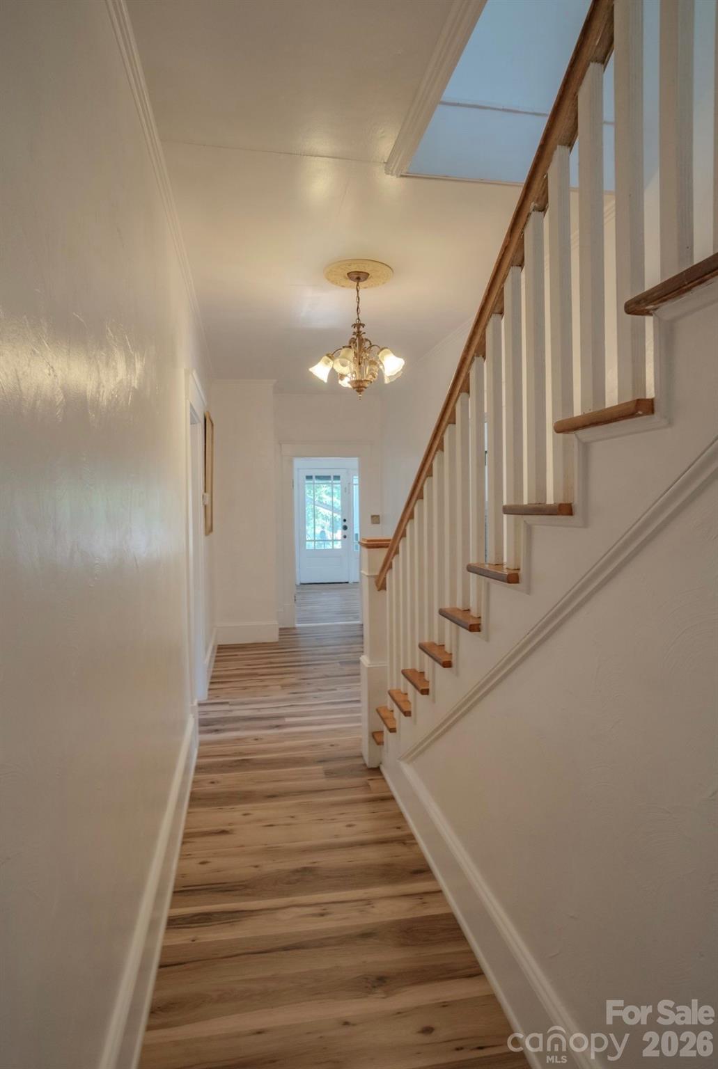 401 8th Street Property Photo 21