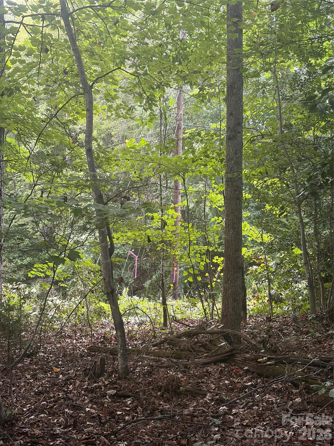 Lot 1 Edgewood Road Property Photo 3