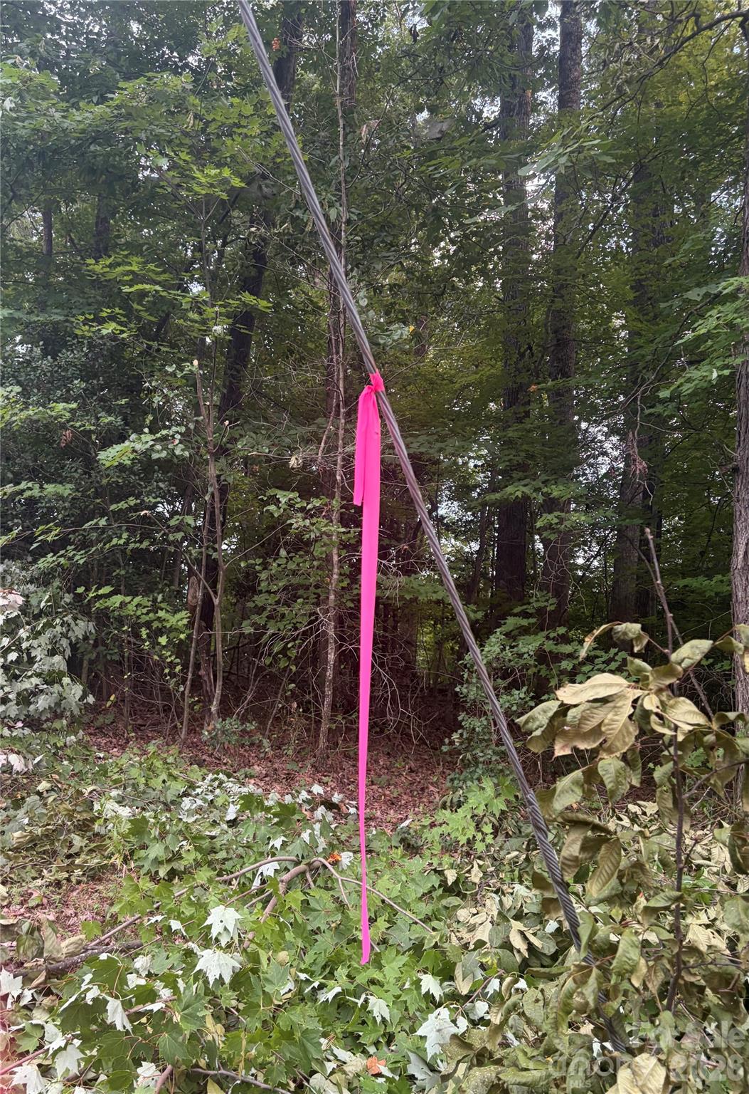Lot 1 Edgewood Road Property Photo 4