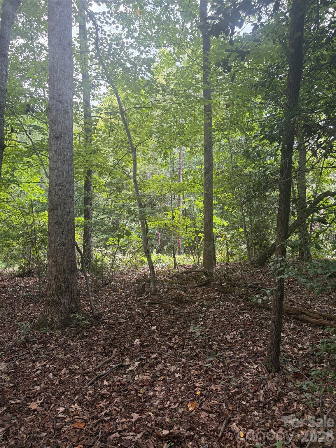Lot 3 Edgewood Road Property Photo 2