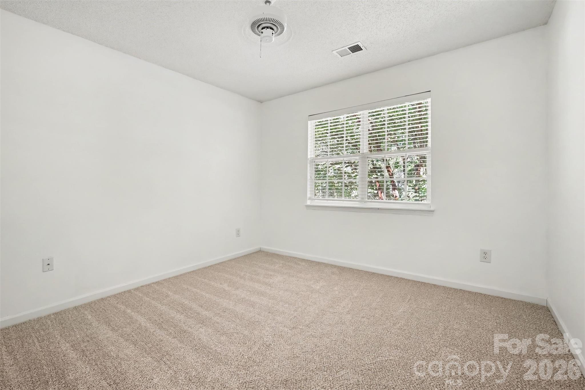 10134 Frosty Lane Property Photo 17