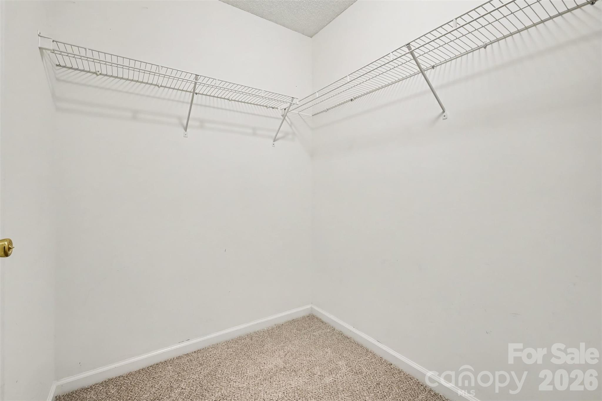10134 Frosty Lane Property Photo 22