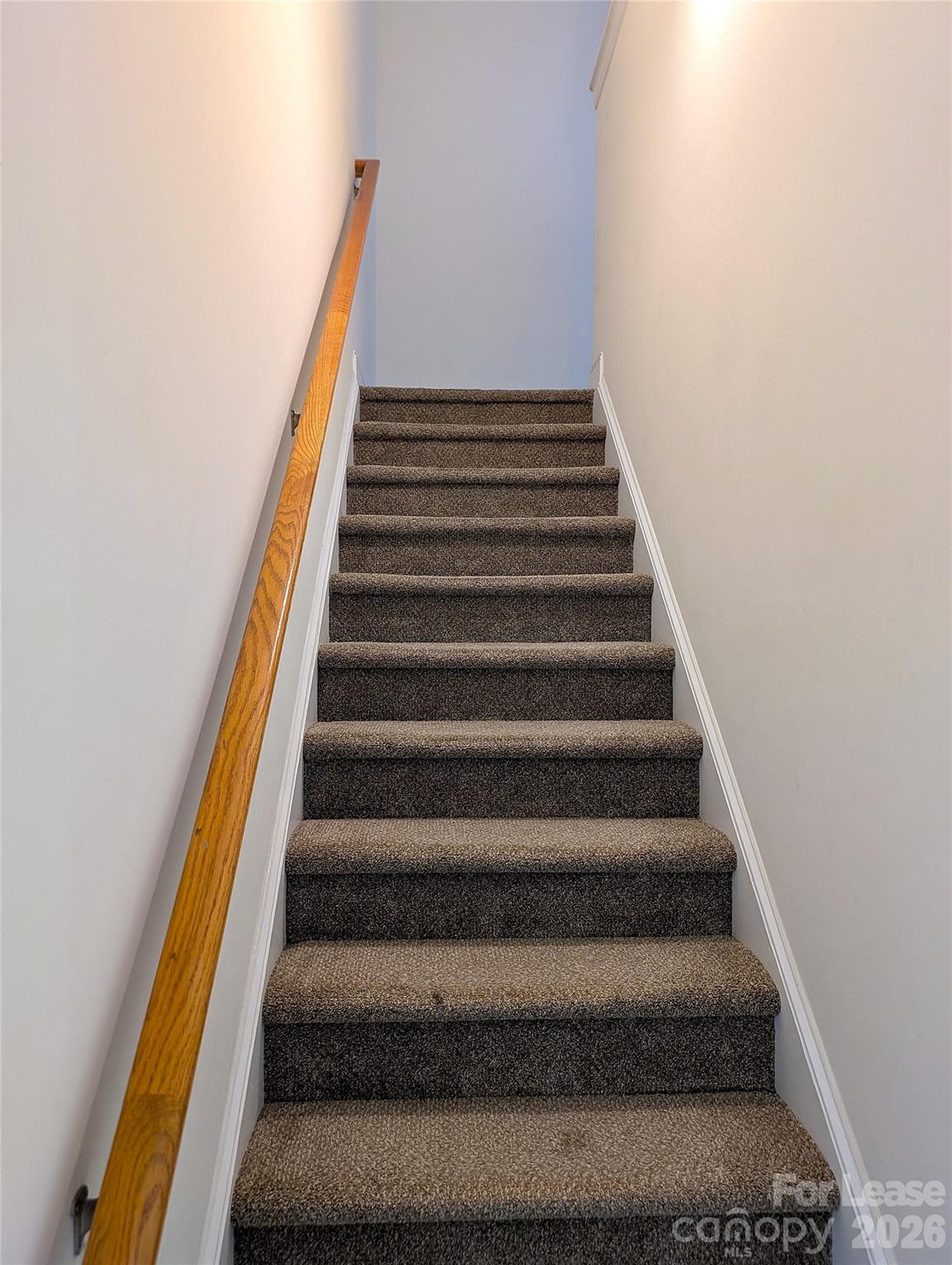 2409 Trace Creek Drive Property Photo 12