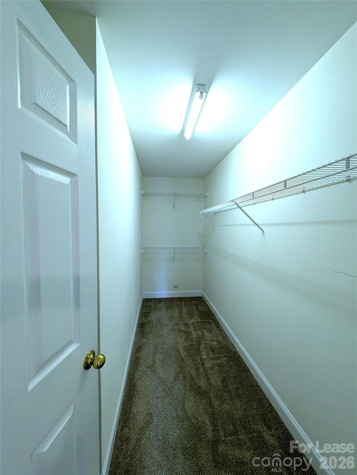 2409 Trace Creek Drive Property Photo 18
