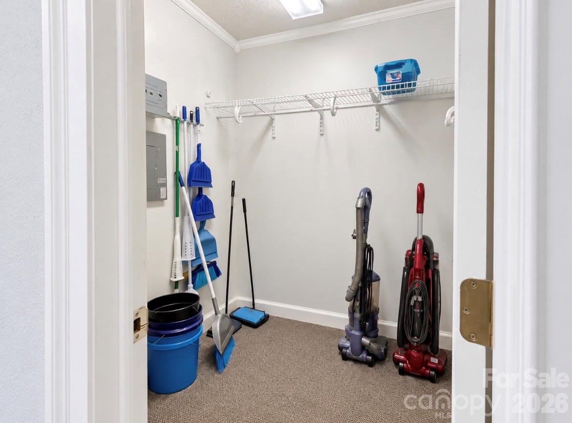 717 Celsey Road Property Photo 21