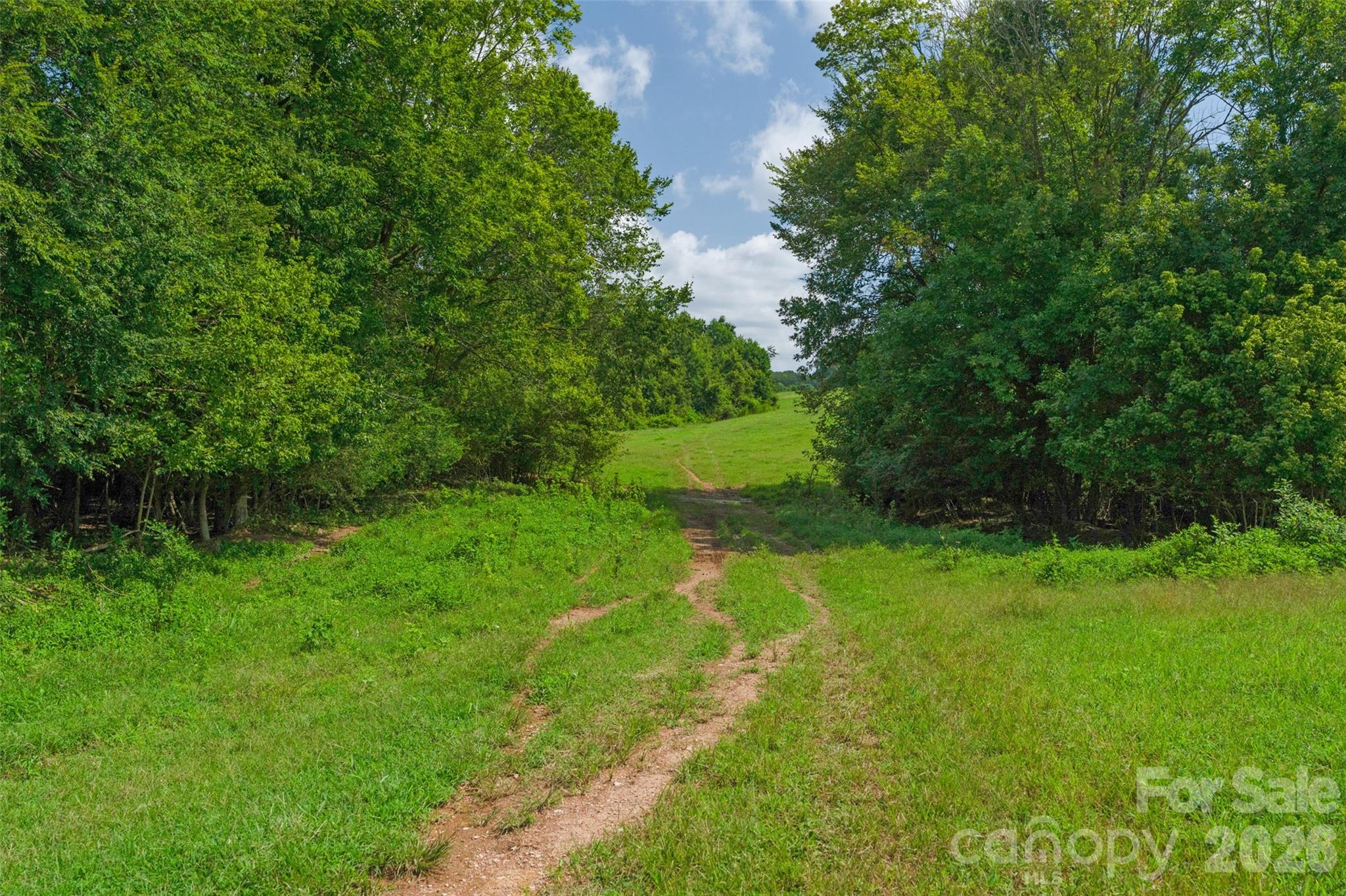 0000 Lucy Short Cut Road D Property Photo 40