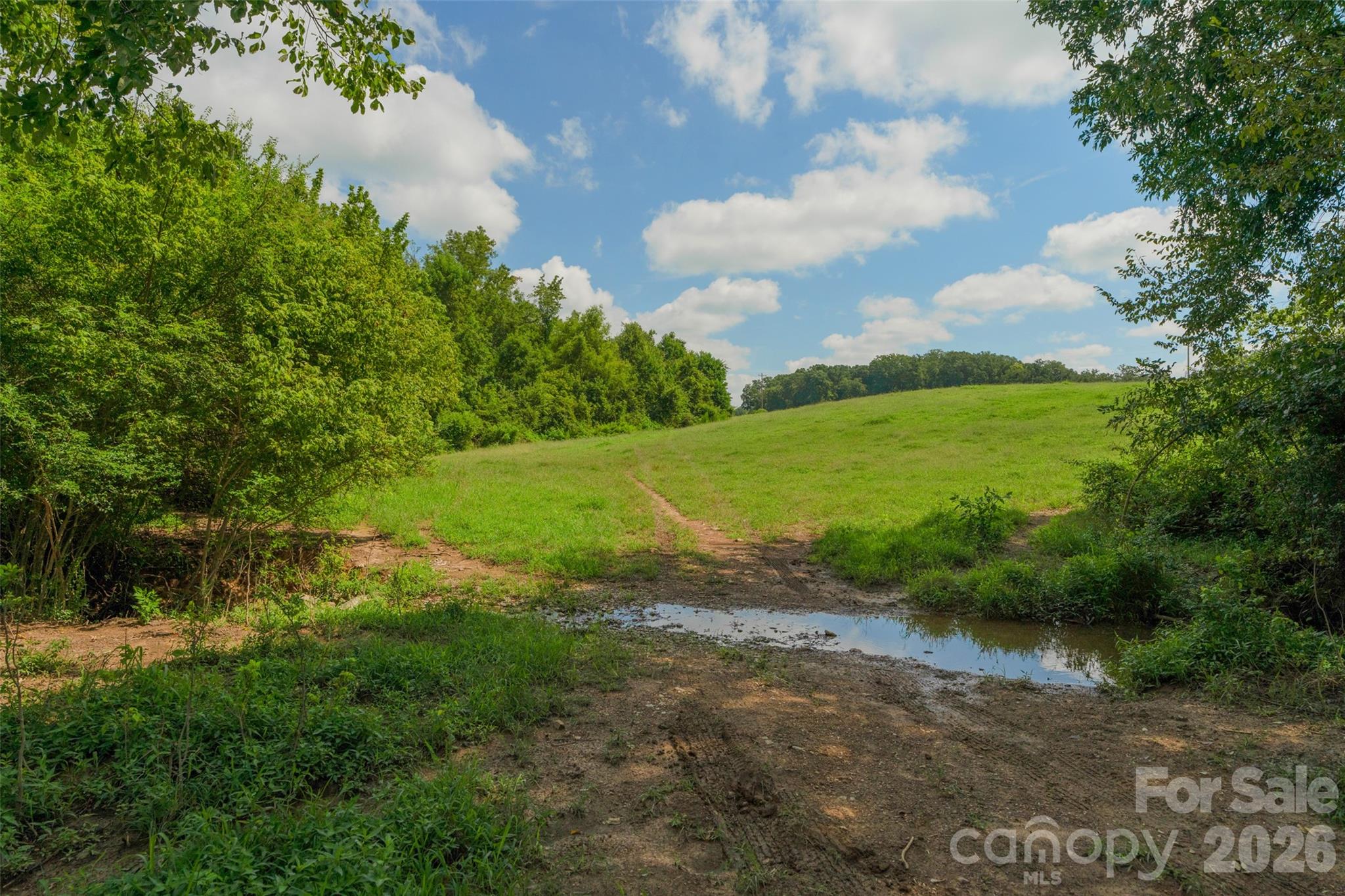 0000 Lucy Short Cut Road D Property Photo 41