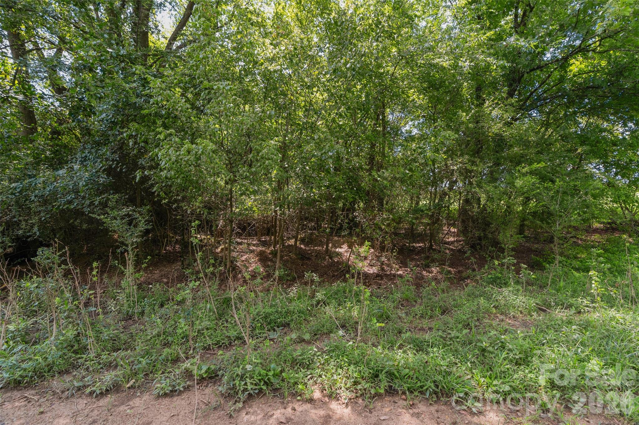 0000 Lucy Short Cut Road D Property Photo 42