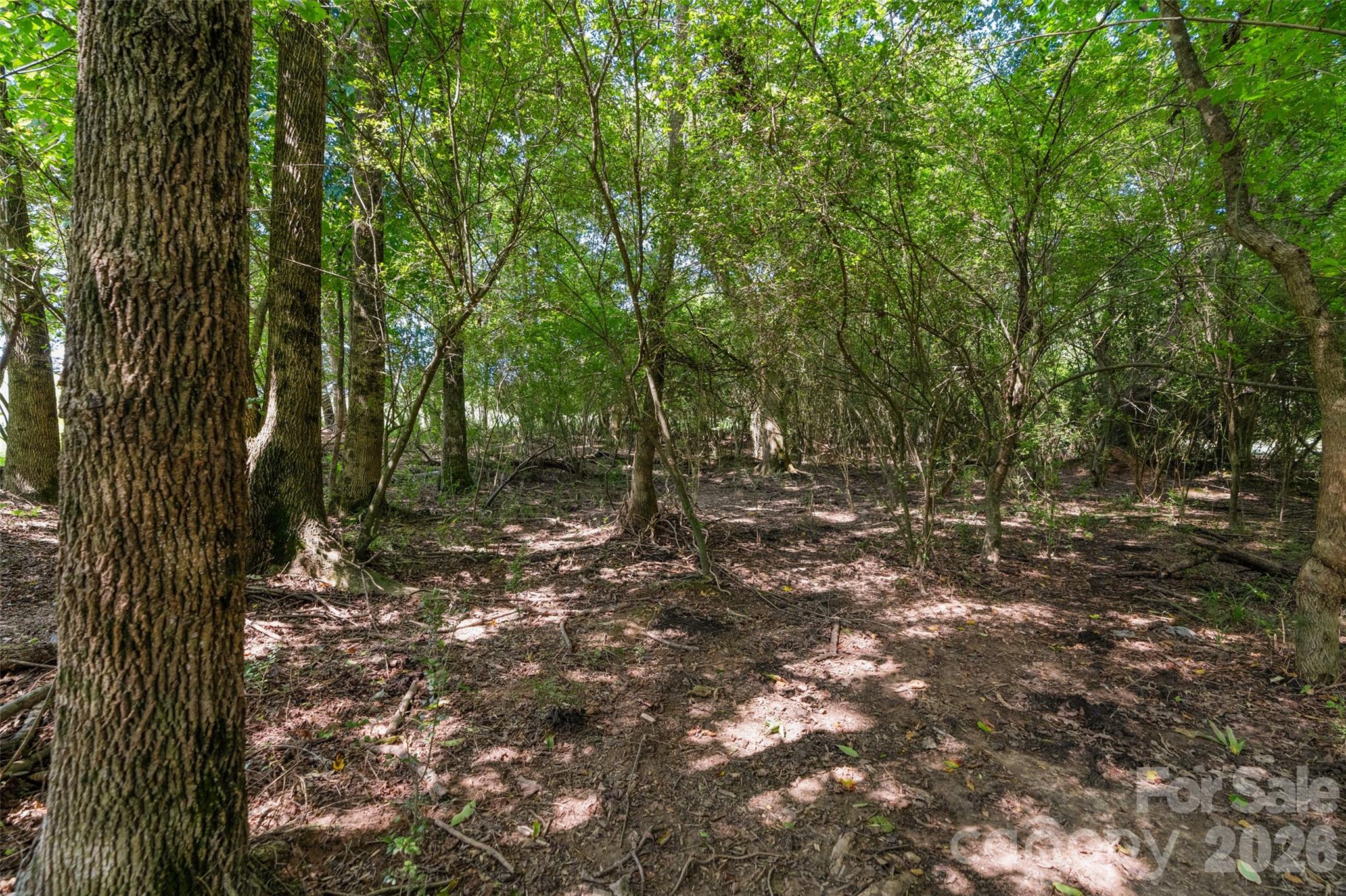 0000 Lucy Short Cut Road D Property Photo 43