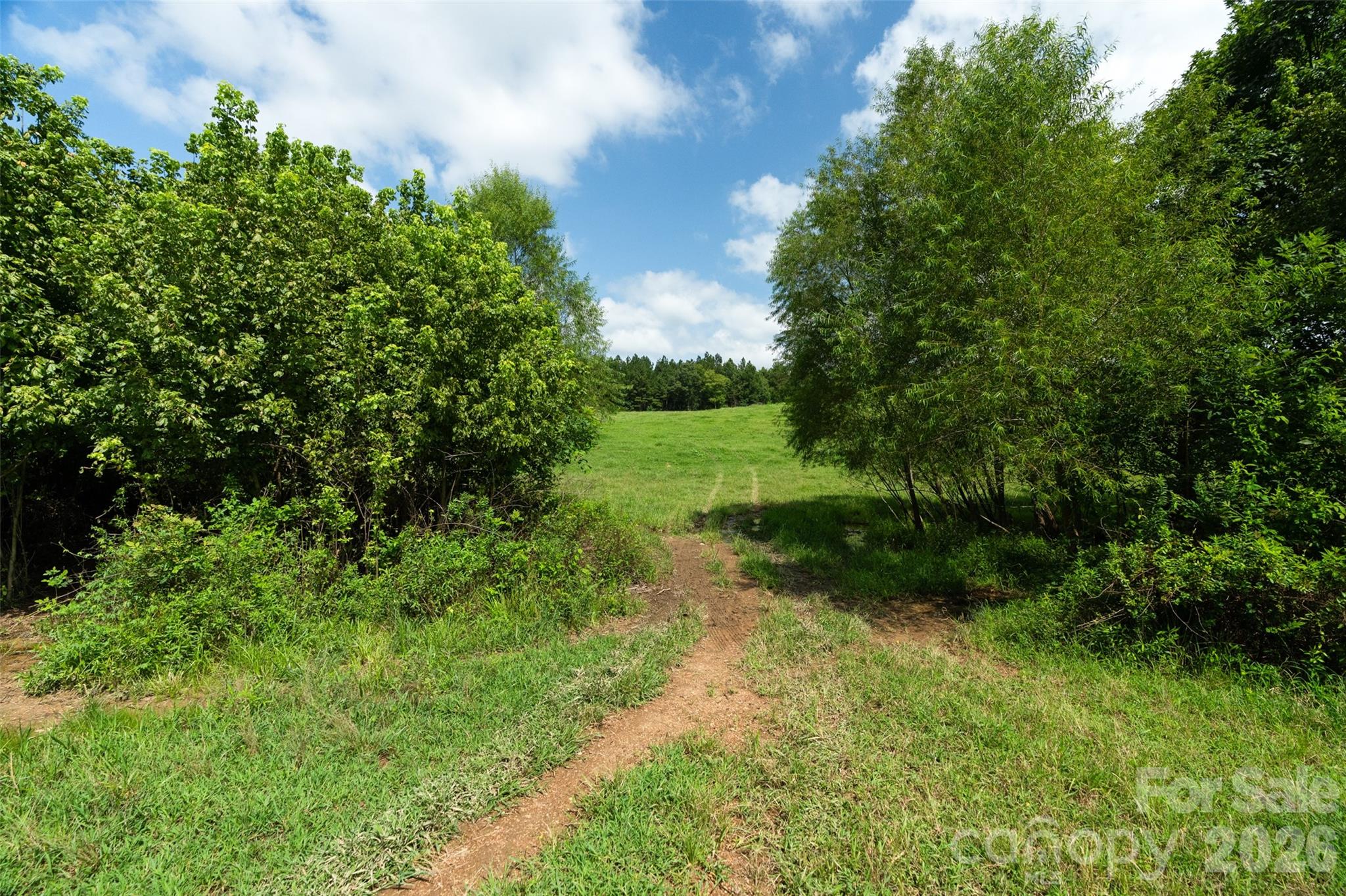 0000 Lucy Short Cut Road D Property Photo 45