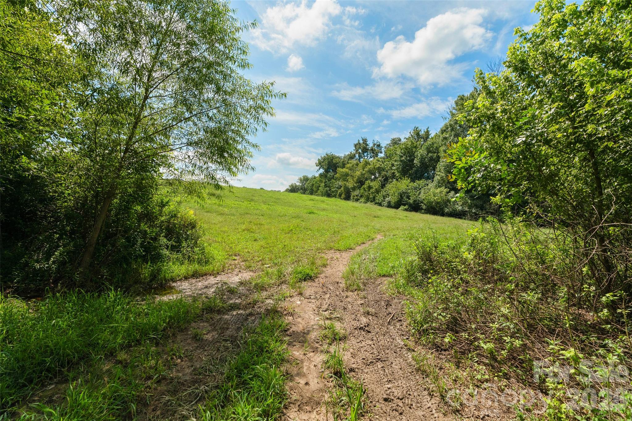 0000 Lucy Short Cut Road D Property Photo 46