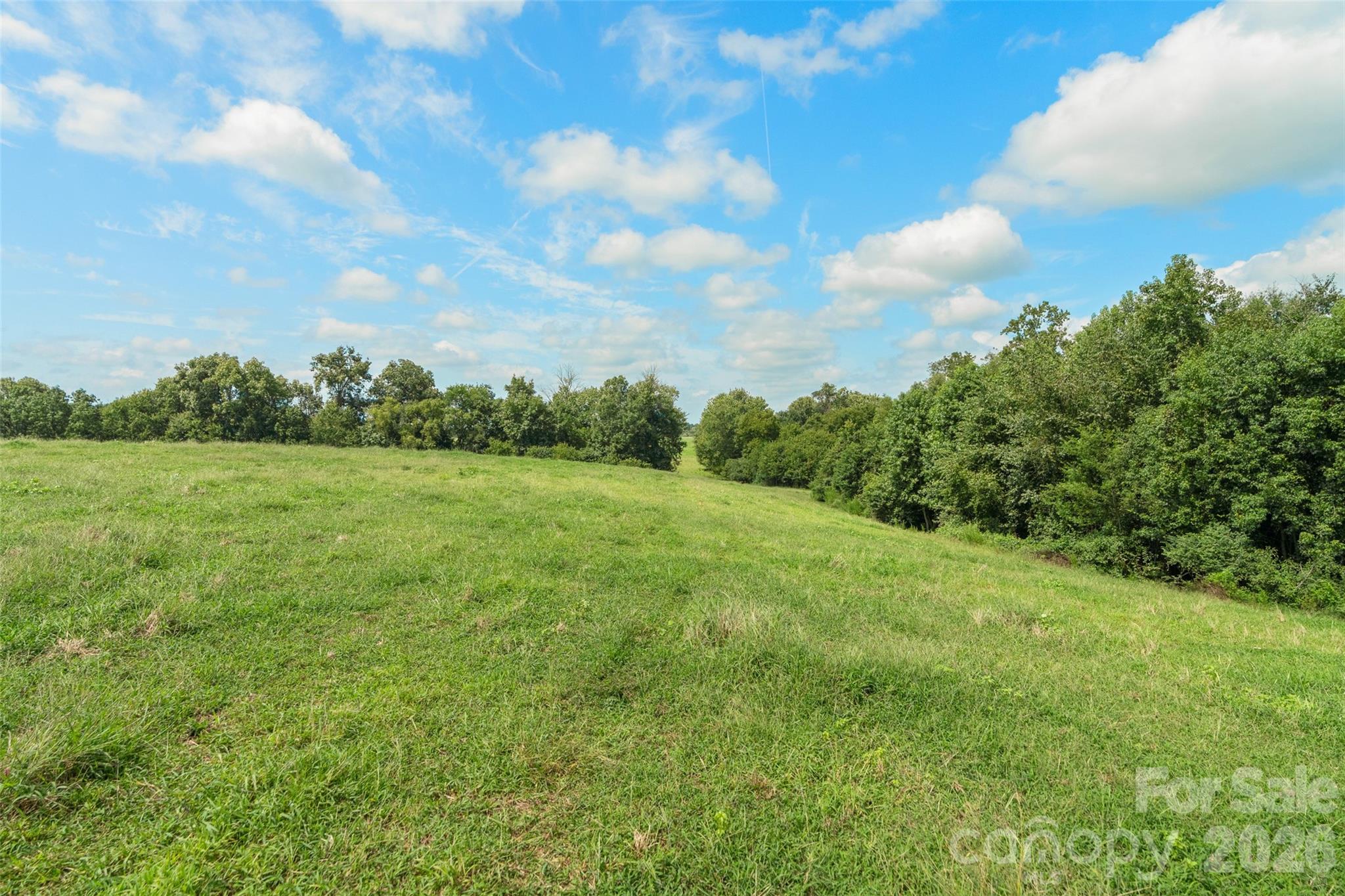 0000 Lucy Short Cut Road D Property Photo 47