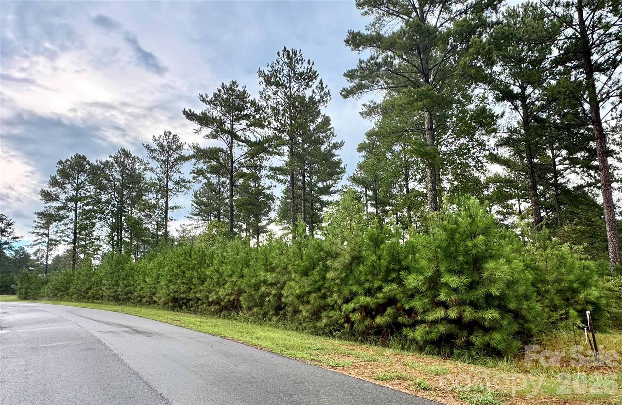 Lot 1, 2.44 Acres Paddock Way 1 Property Photo 1
