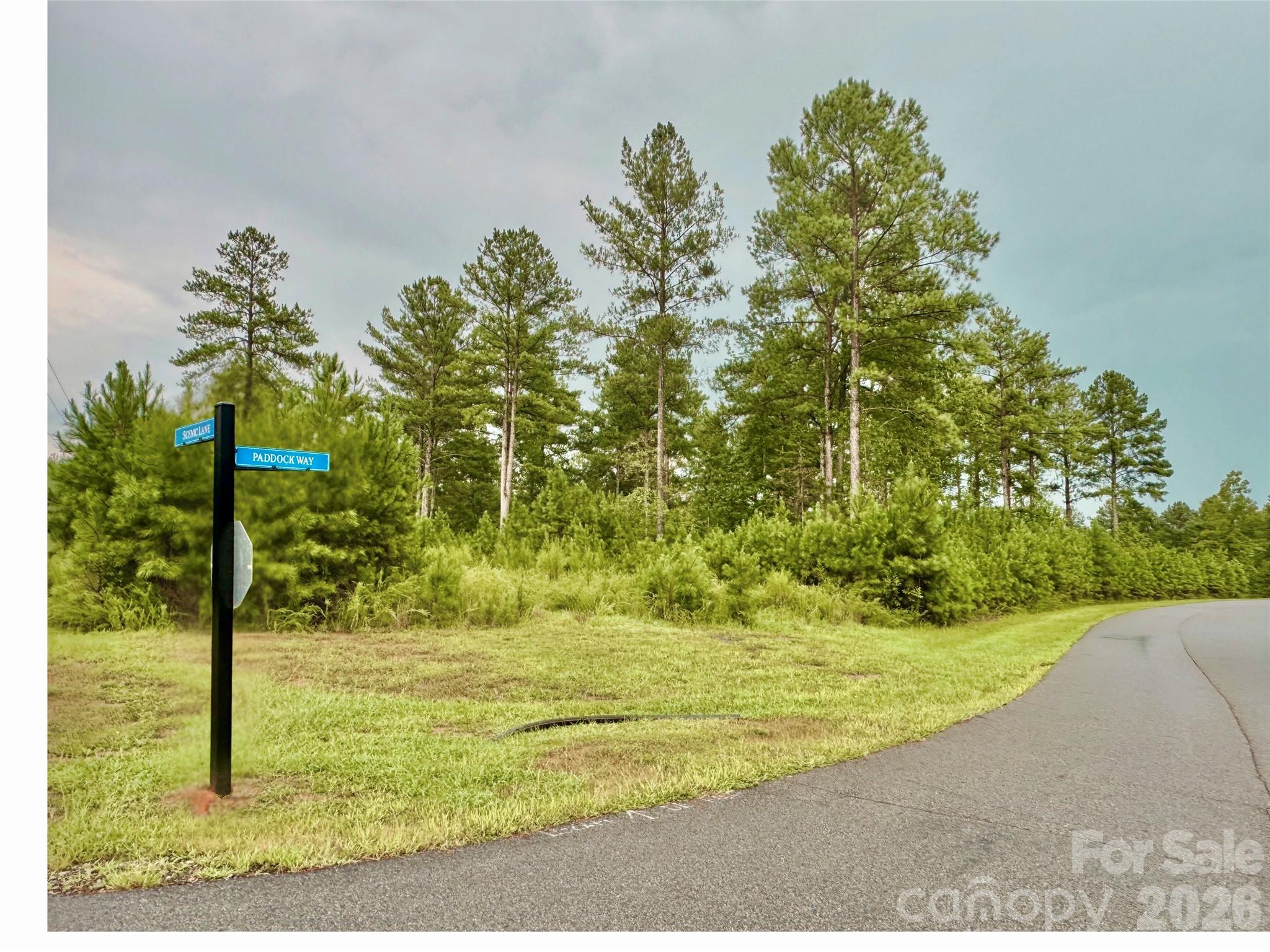 Lot 1, 2.44 Acres Paddock Way 1 Property Photo 3
