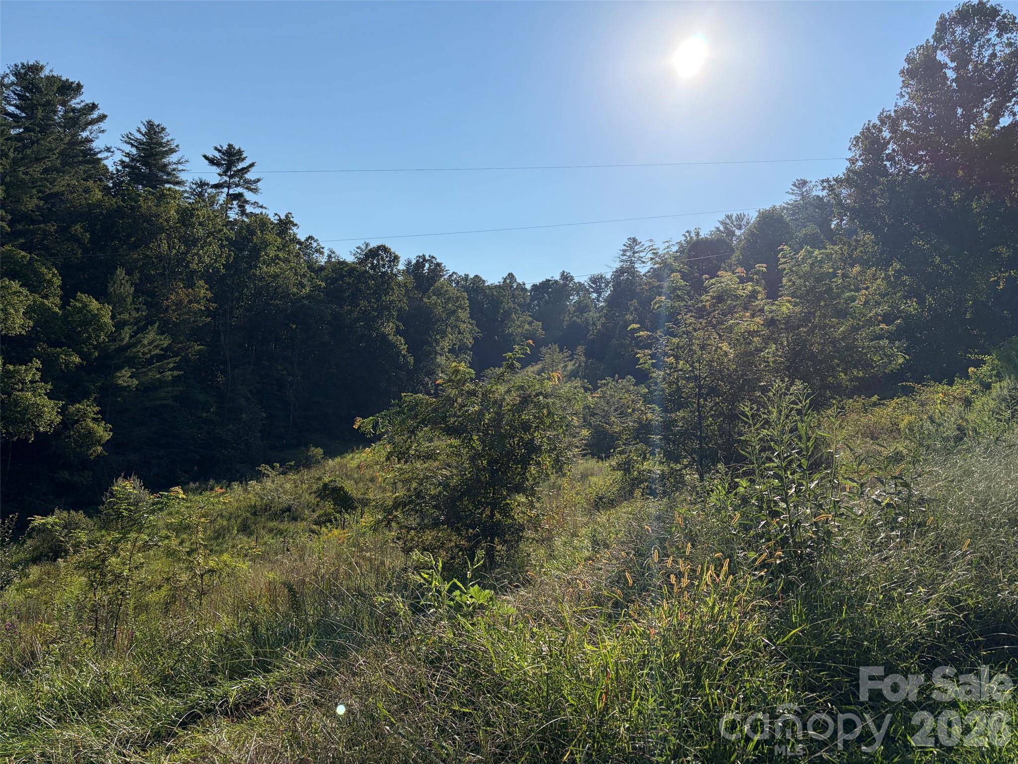 4401 Meadows Town Road Property Photo 3