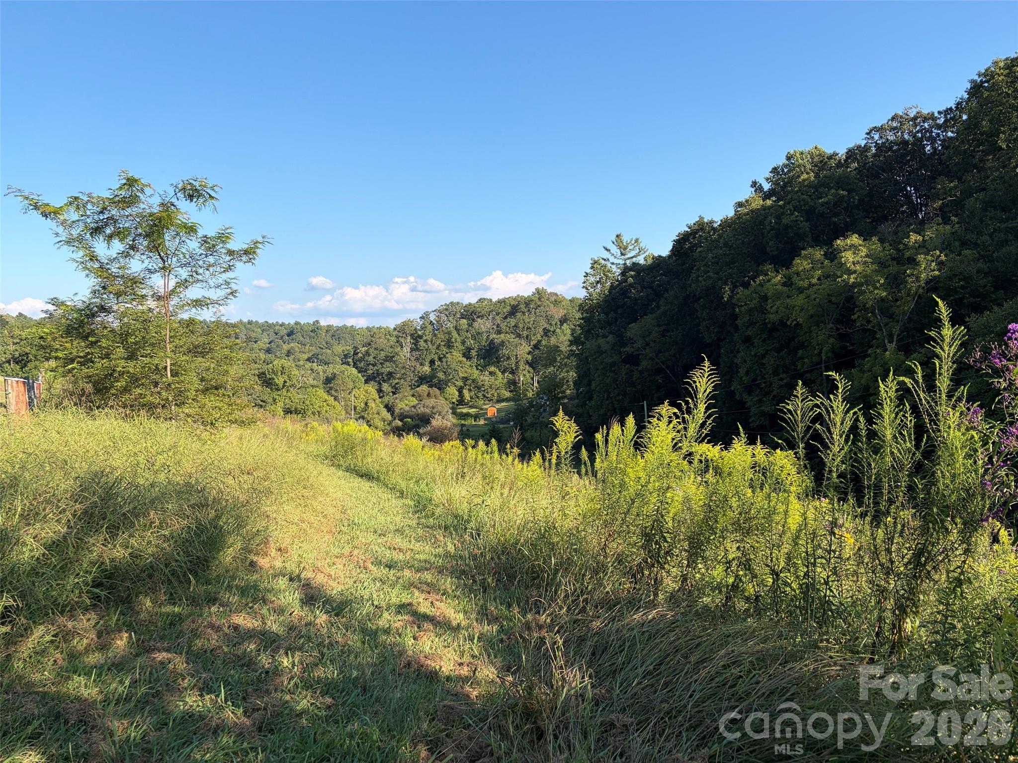 4401 Meadows Town Road Property Photo 5