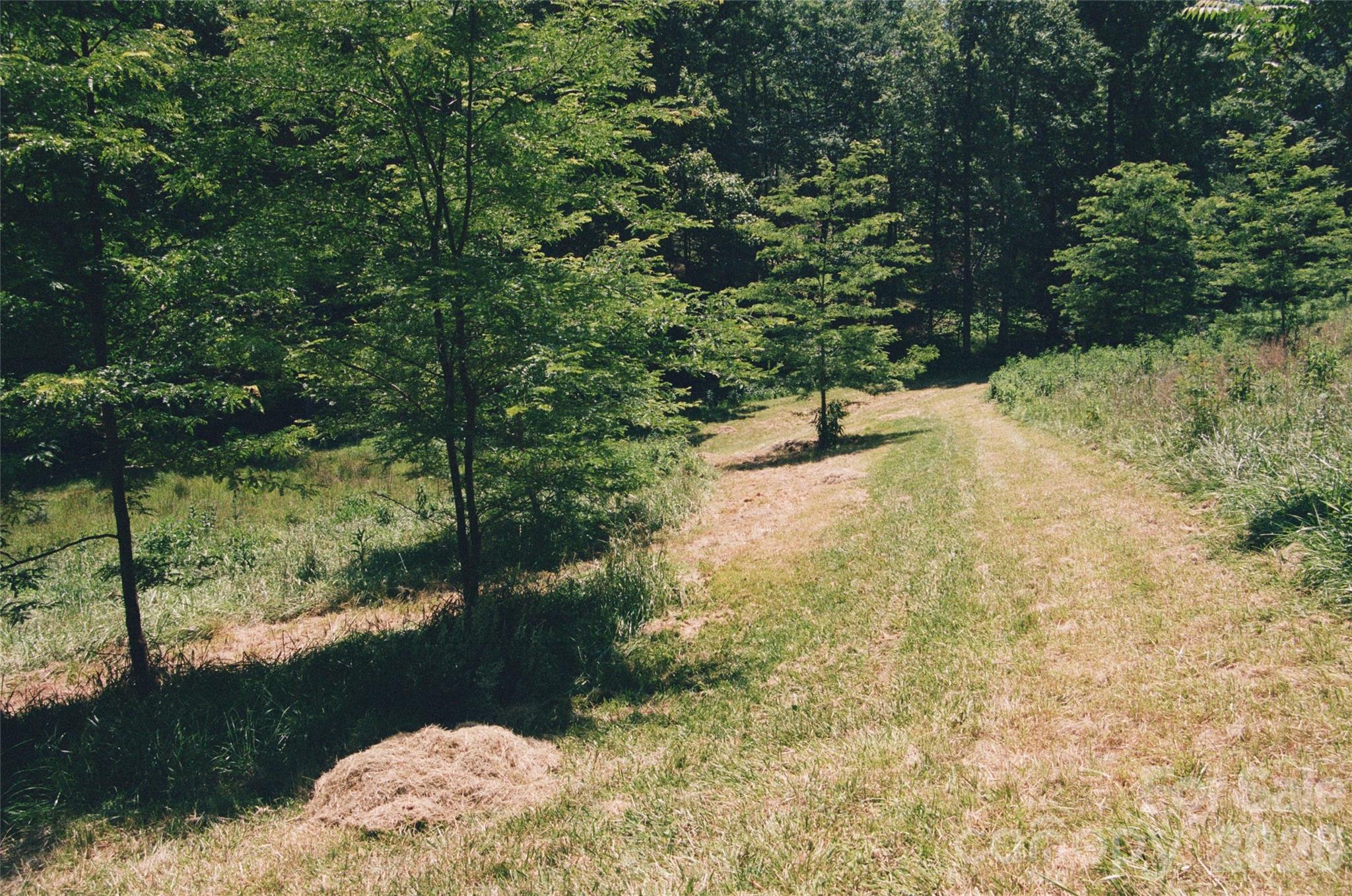4401 Meadows Town Road Property Photo 8