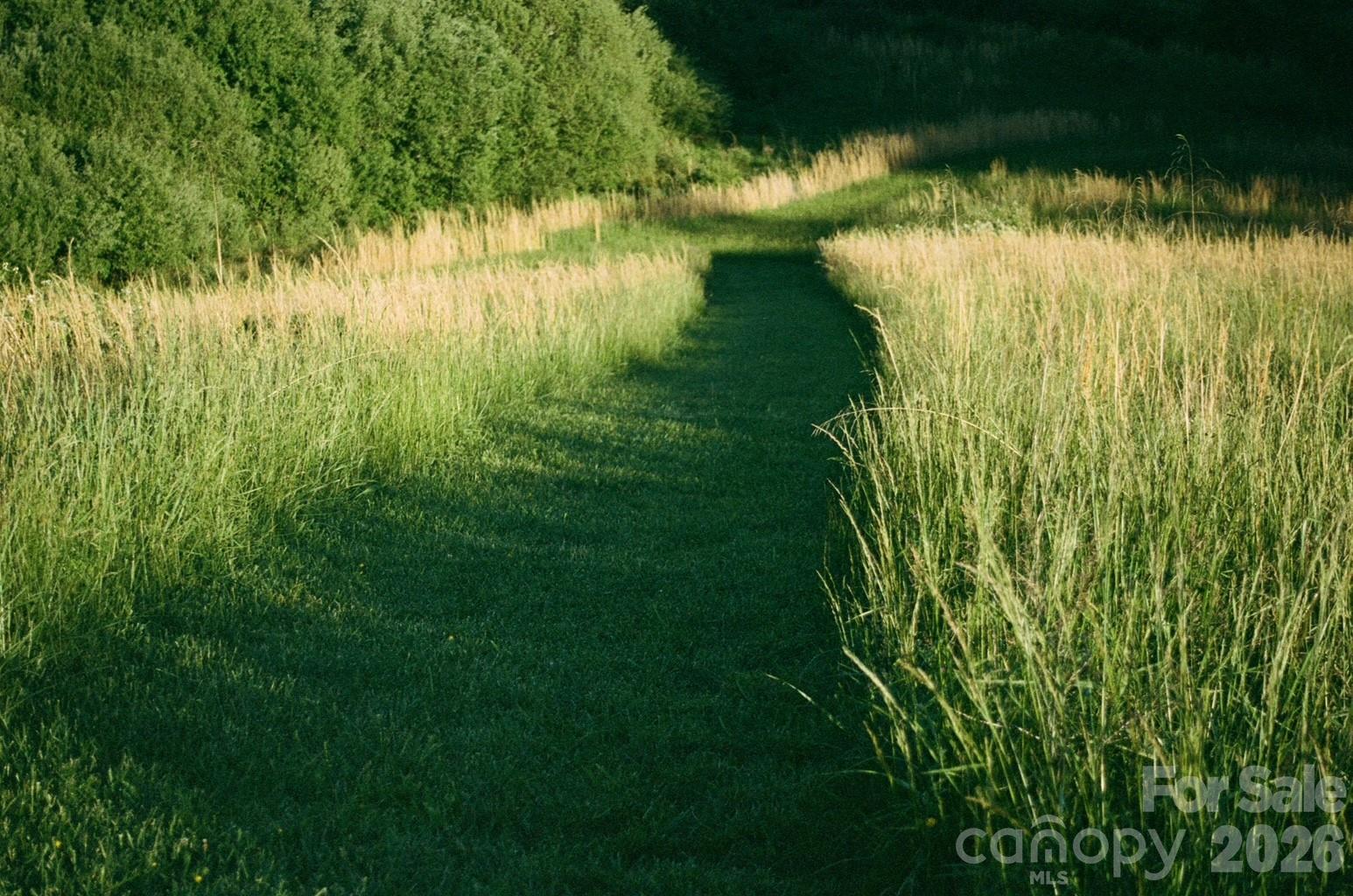 4401 Meadows Town Road Property Photo 9