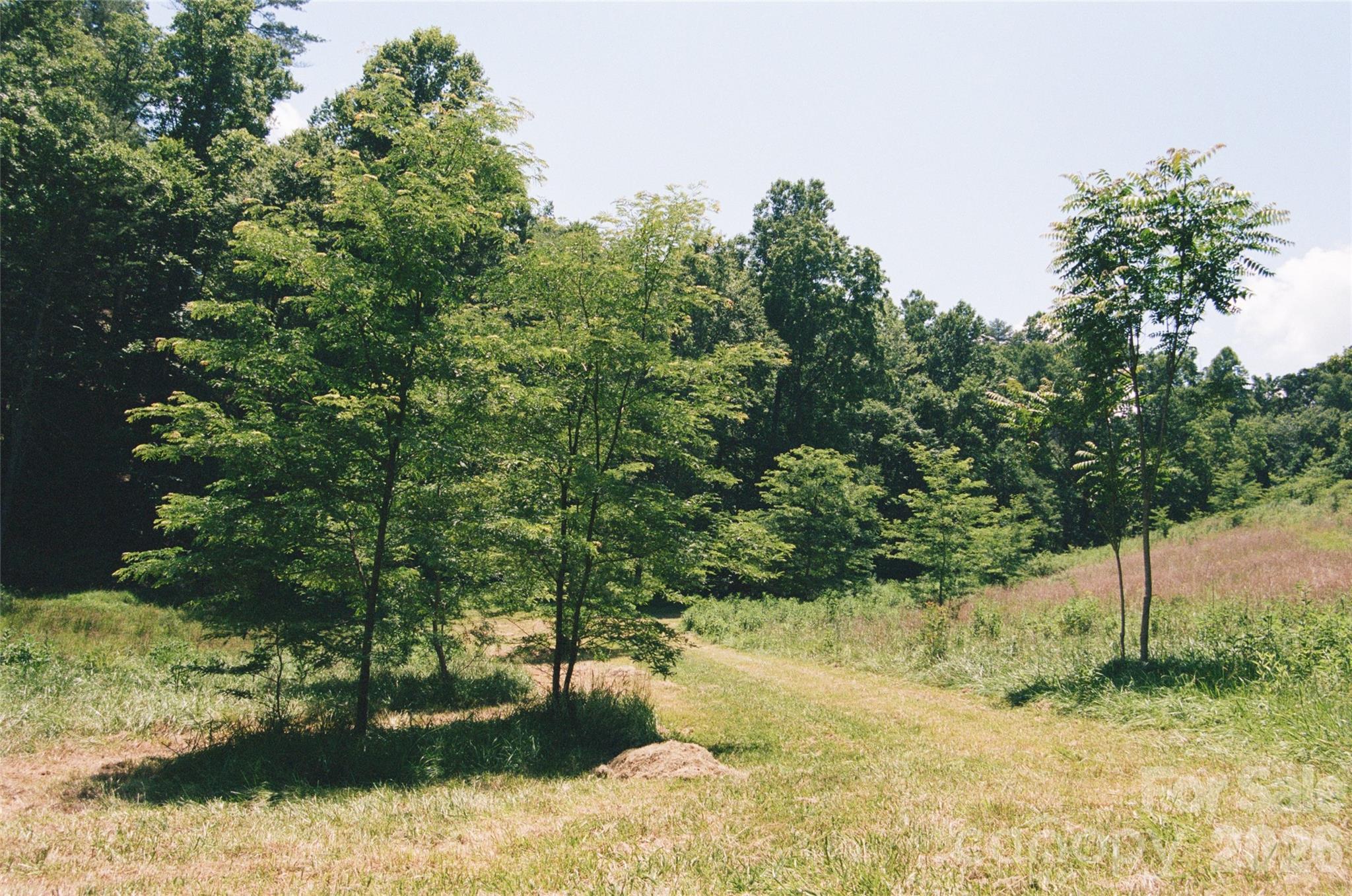 4401 Meadows Town Road Property Photo 11