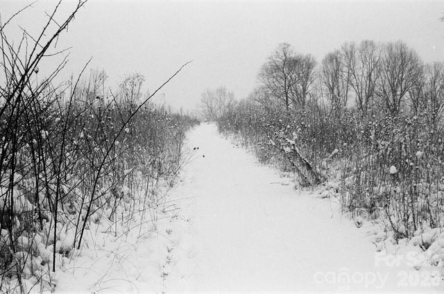 4401 Meadows Town Road Property Photo 14