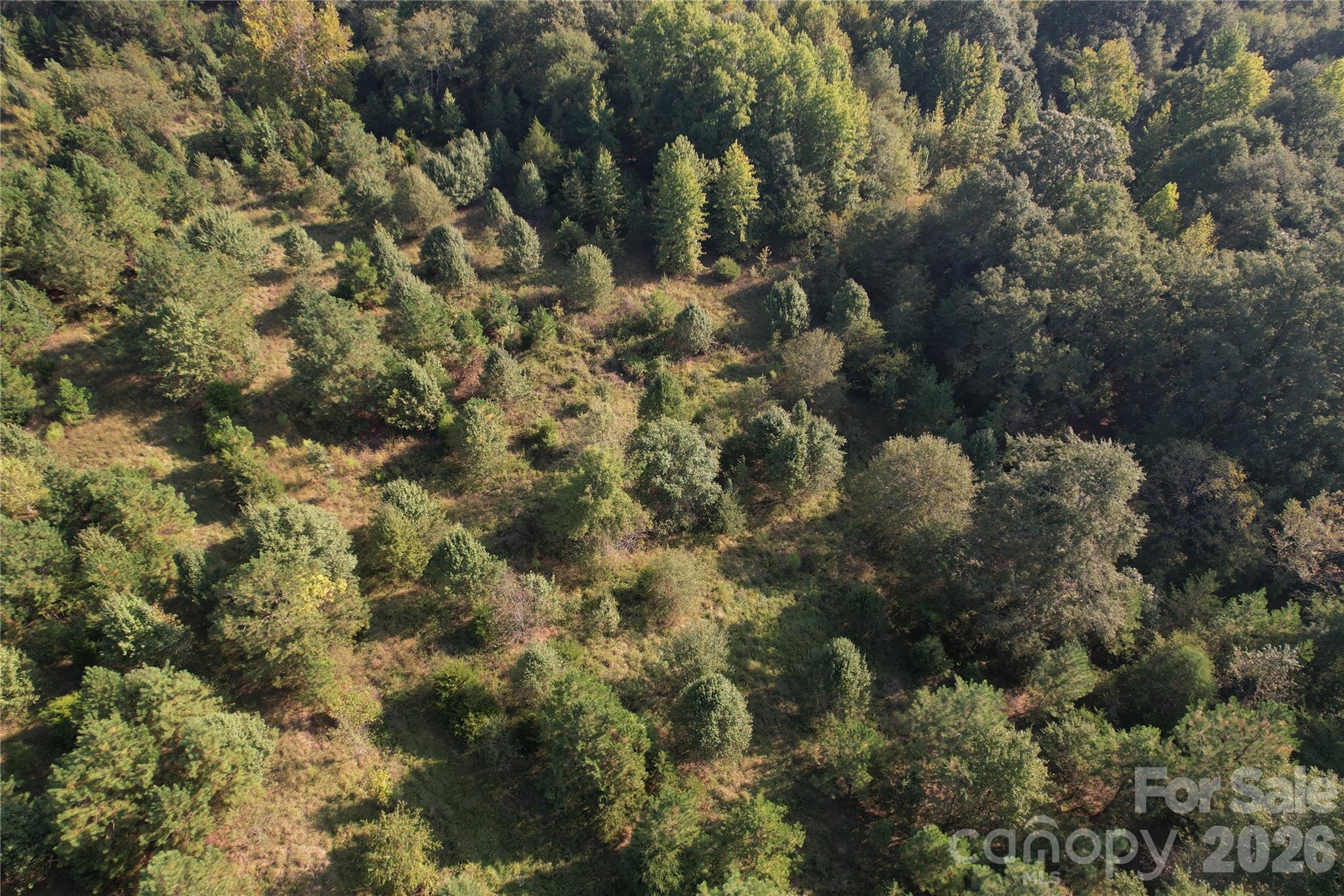 671 Hames Ridge Road Property Photo 4