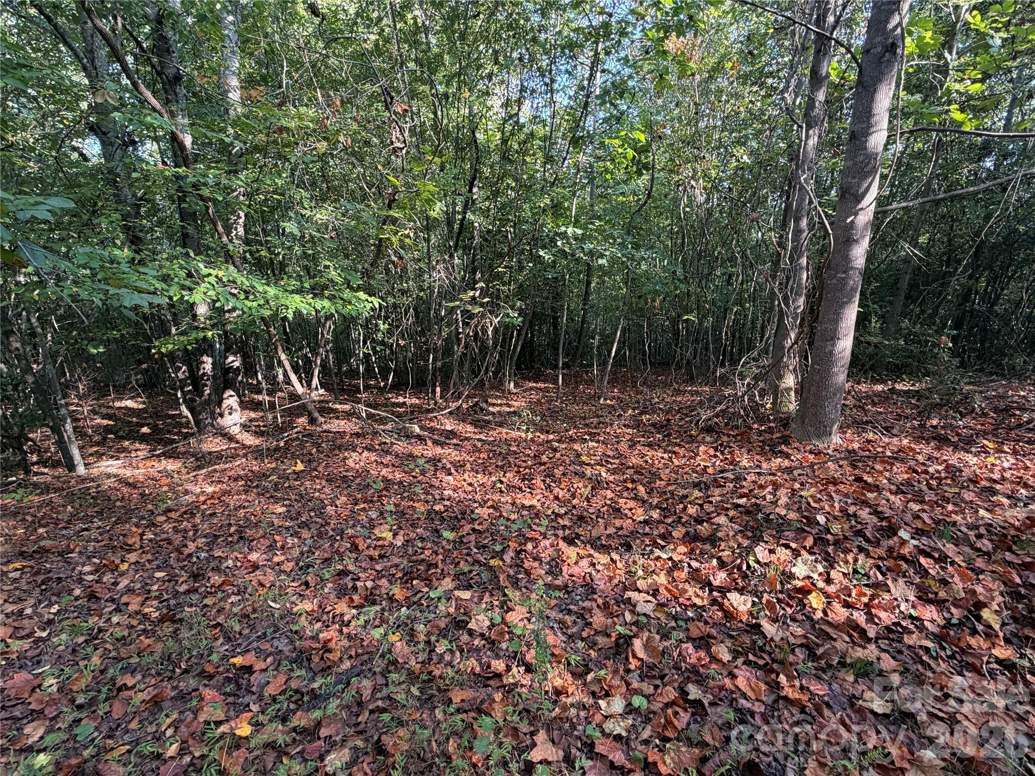 671 Hames Ridge Road Property Photo 5