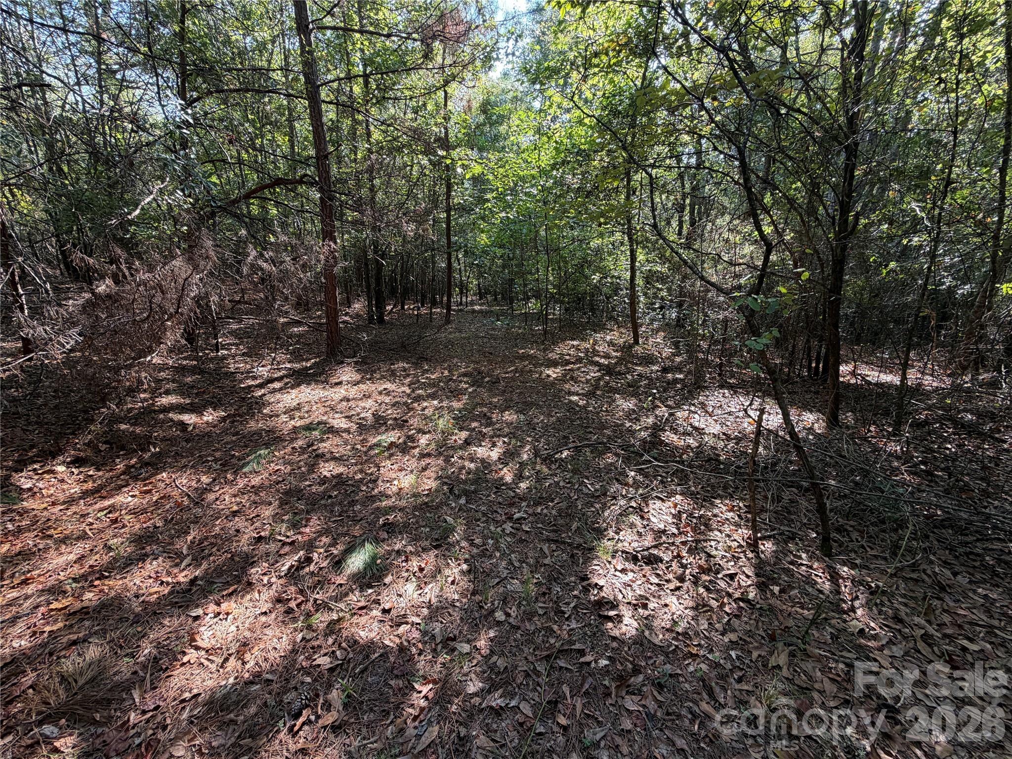671 Hames Ridge Road Property Photo 6