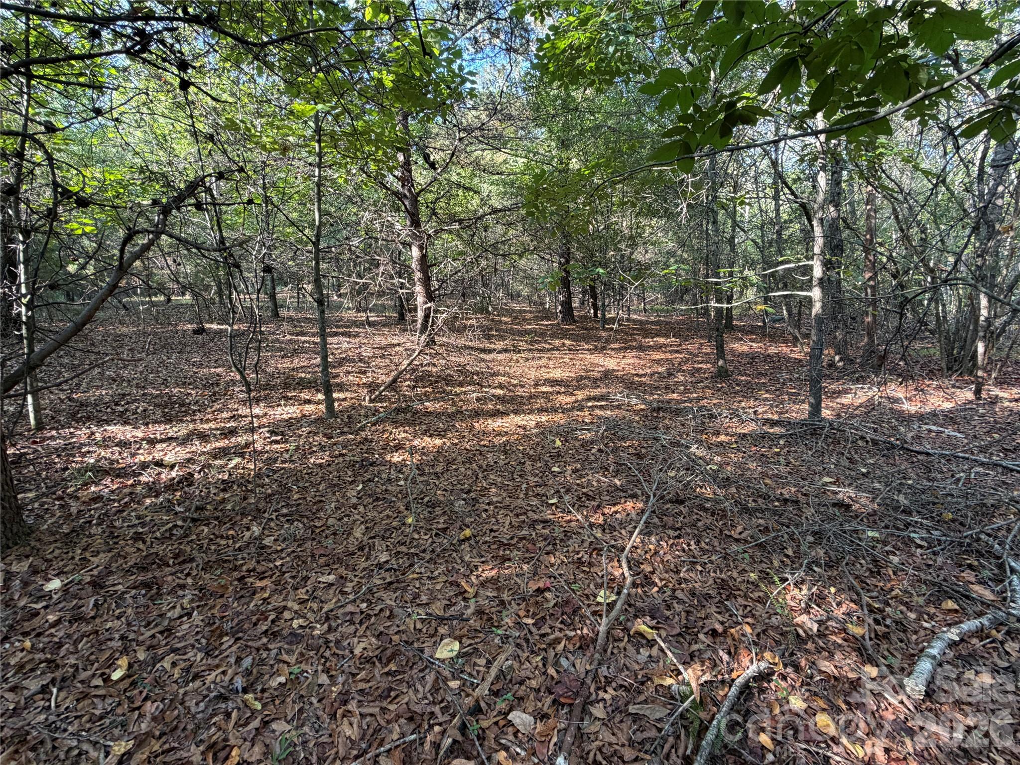 671 Hames Ridge Road Property Photo 7