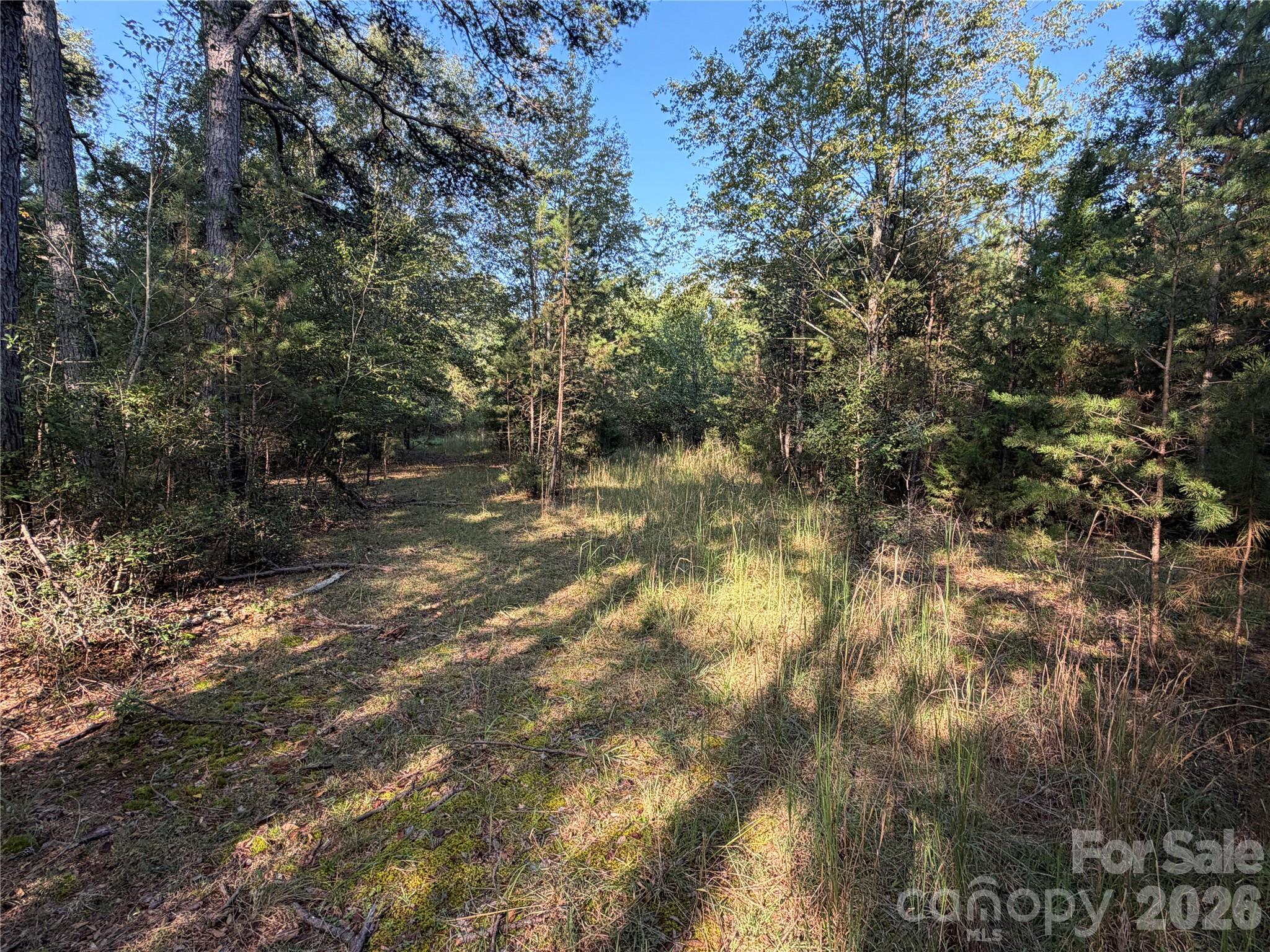 671 Hames Ridge Road Property Photo 8