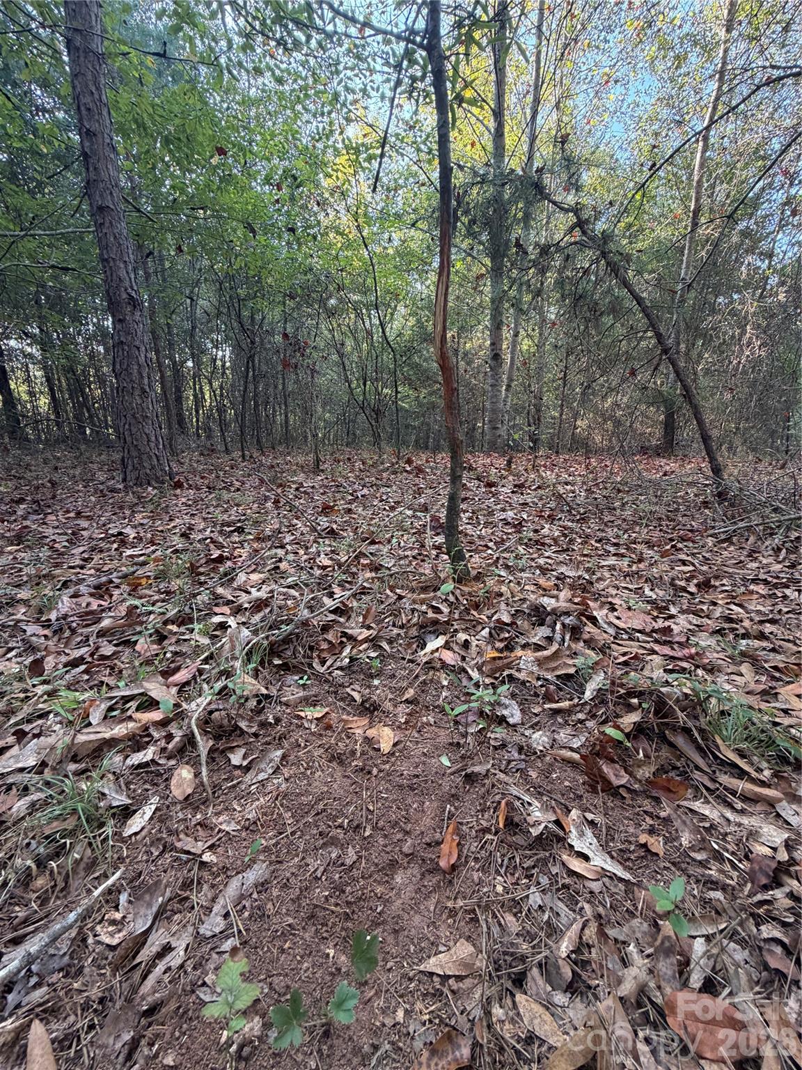 671 Hames Ridge Road Property Photo 9