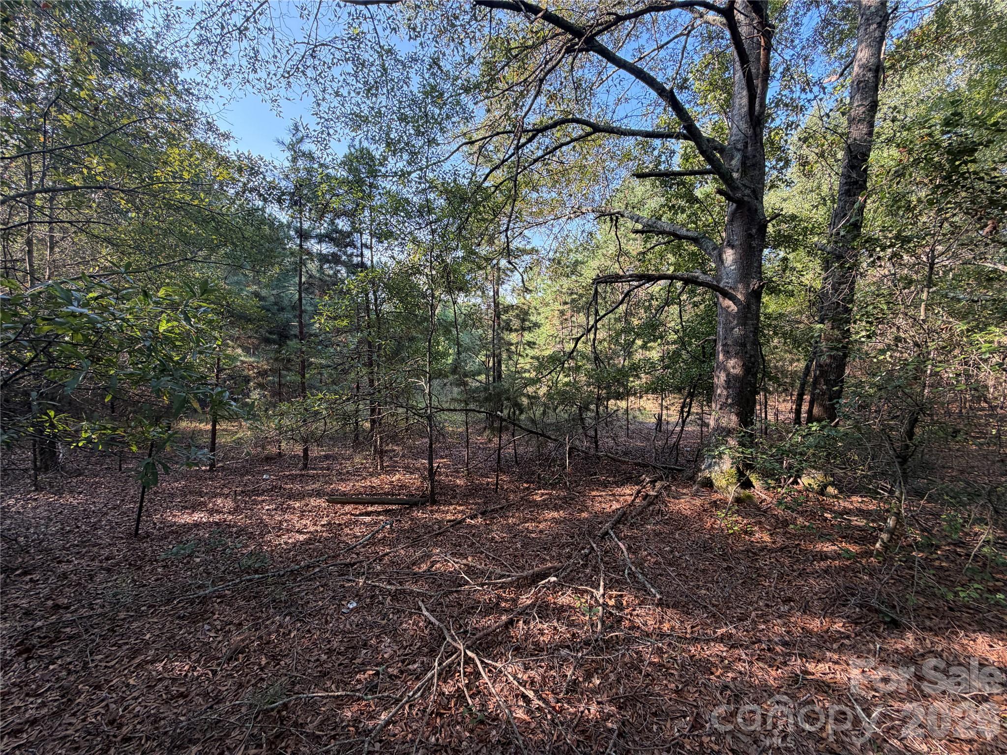 671 Hames Ridge Road Property Photo 11