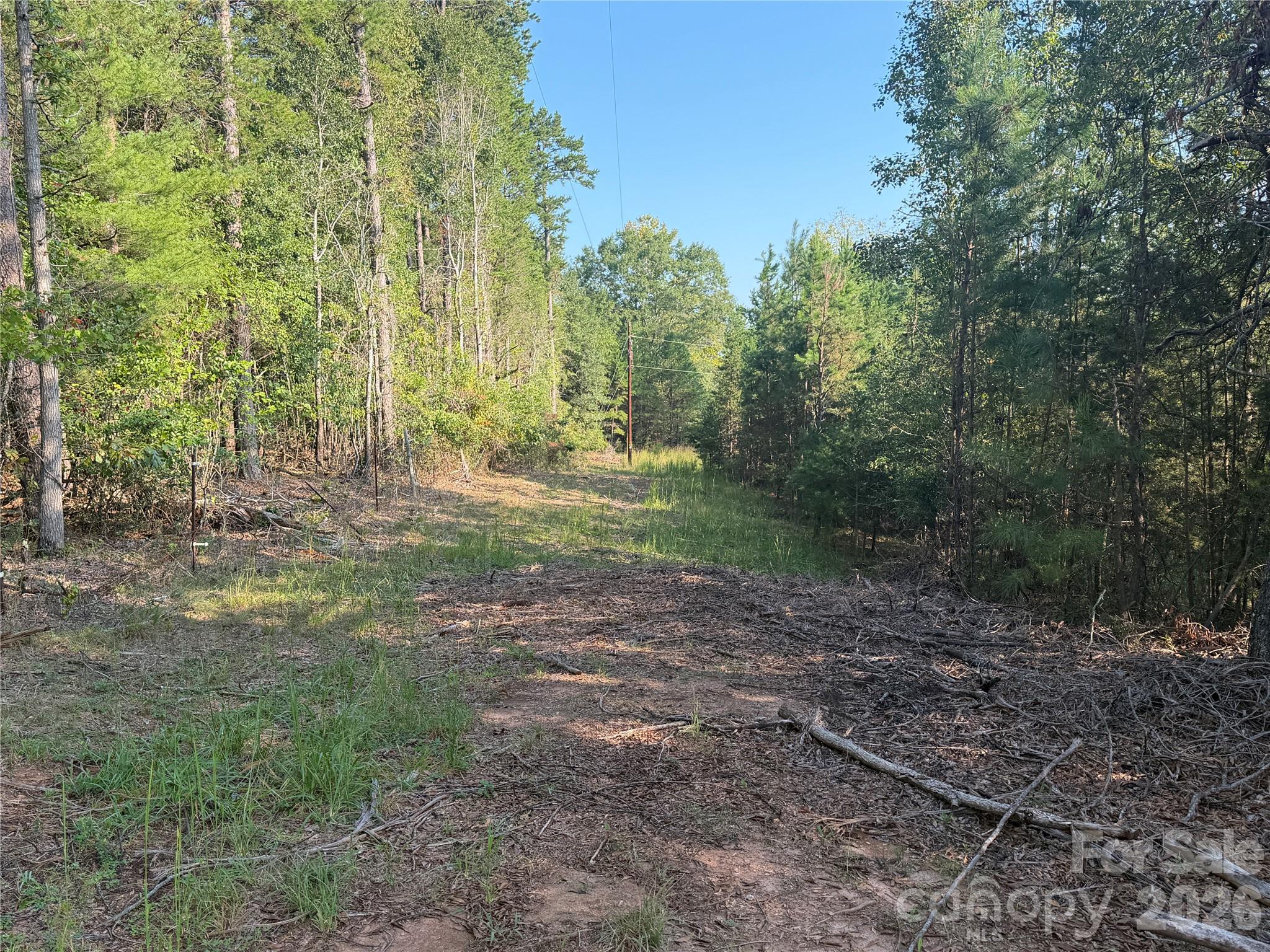 671 Hames Ridge Road Property Photo 12