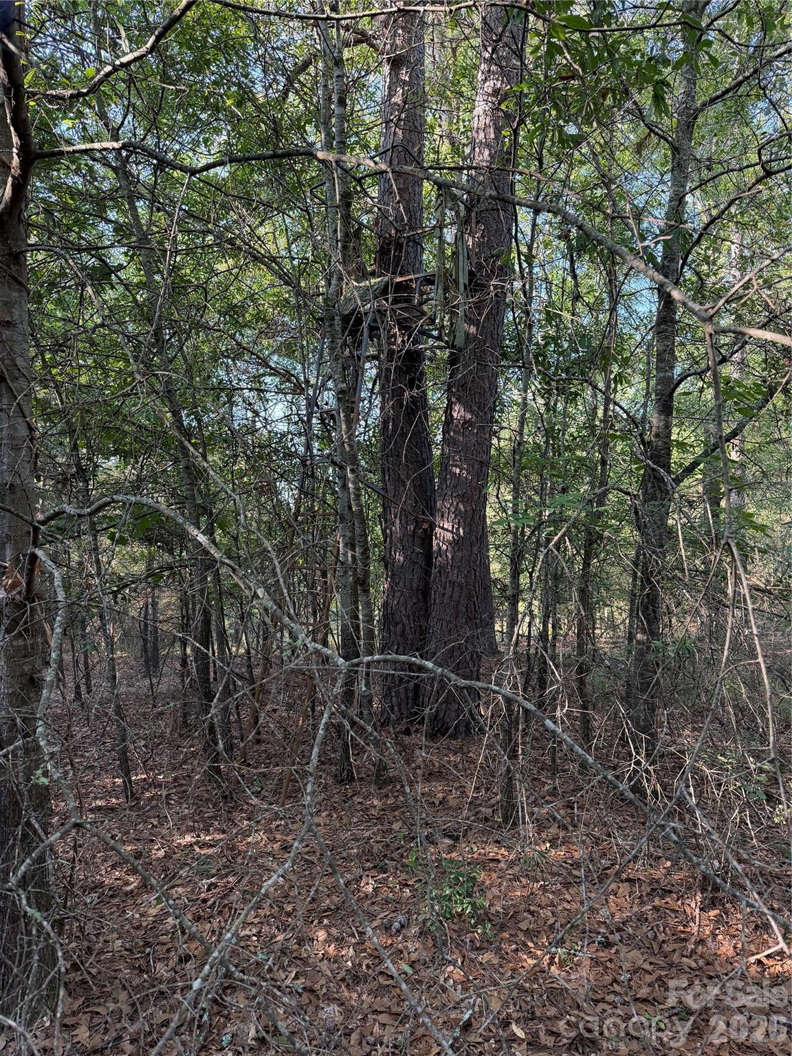671 Hames Ridge Road Property Photo 17