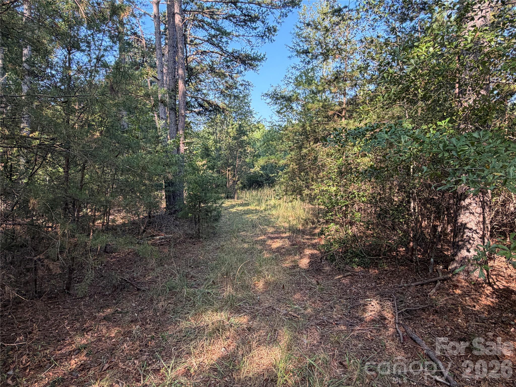 671 Hames Ridge Road Property Photo 18