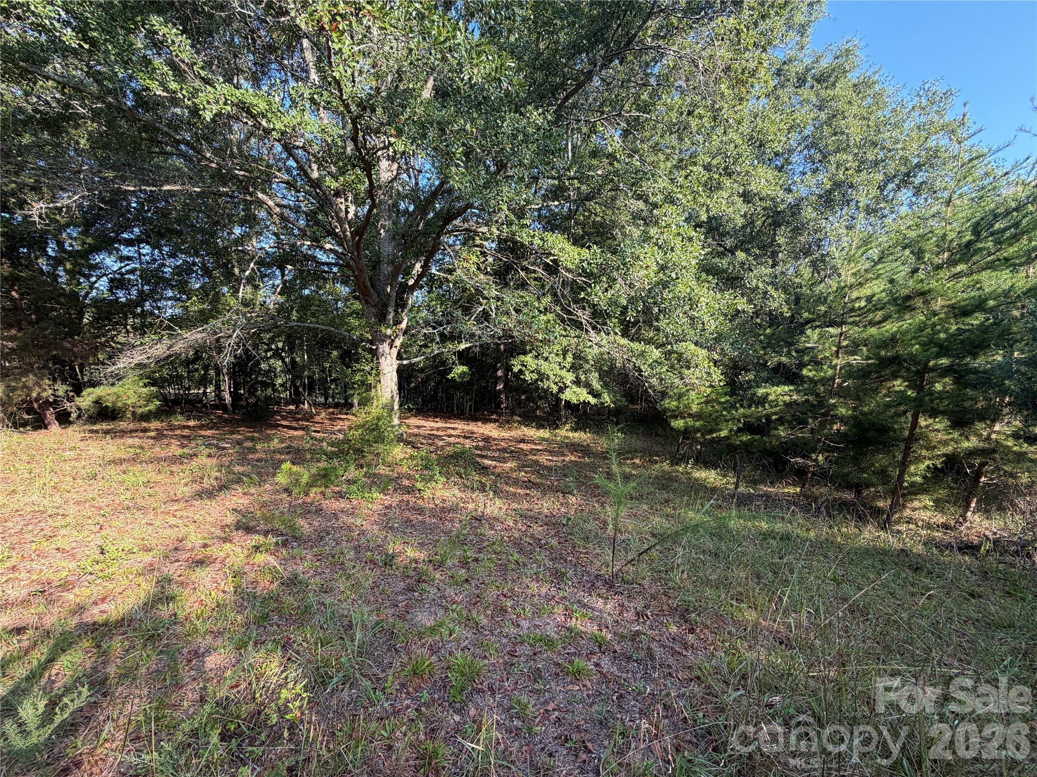 671 Hames Ridge Road Property Photo 19
