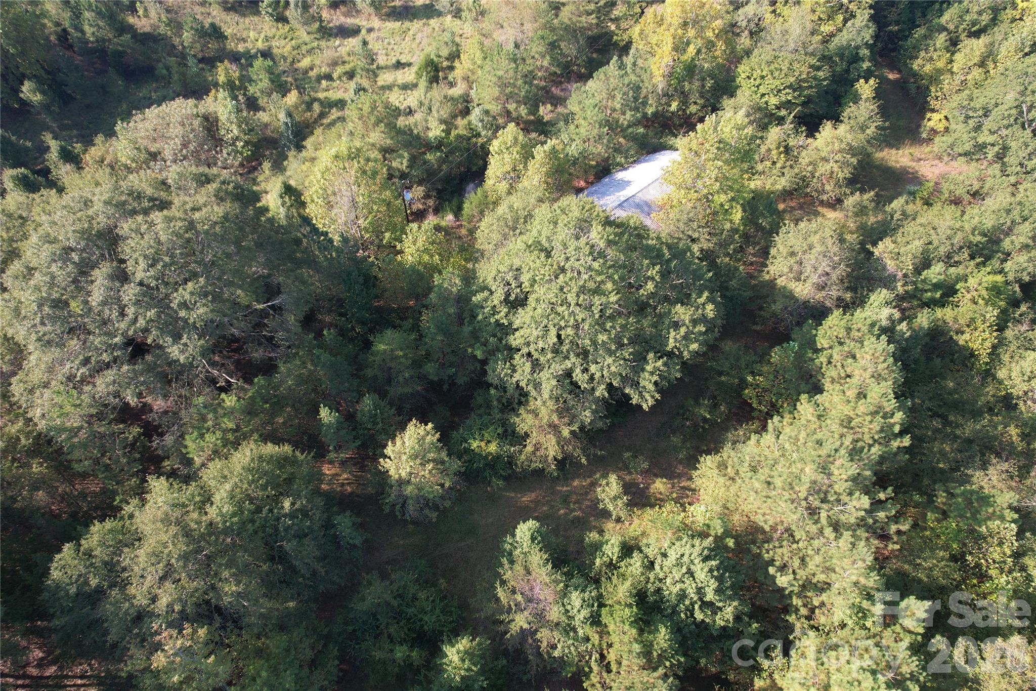 671 Hames Ridge Road Property Photo 20
