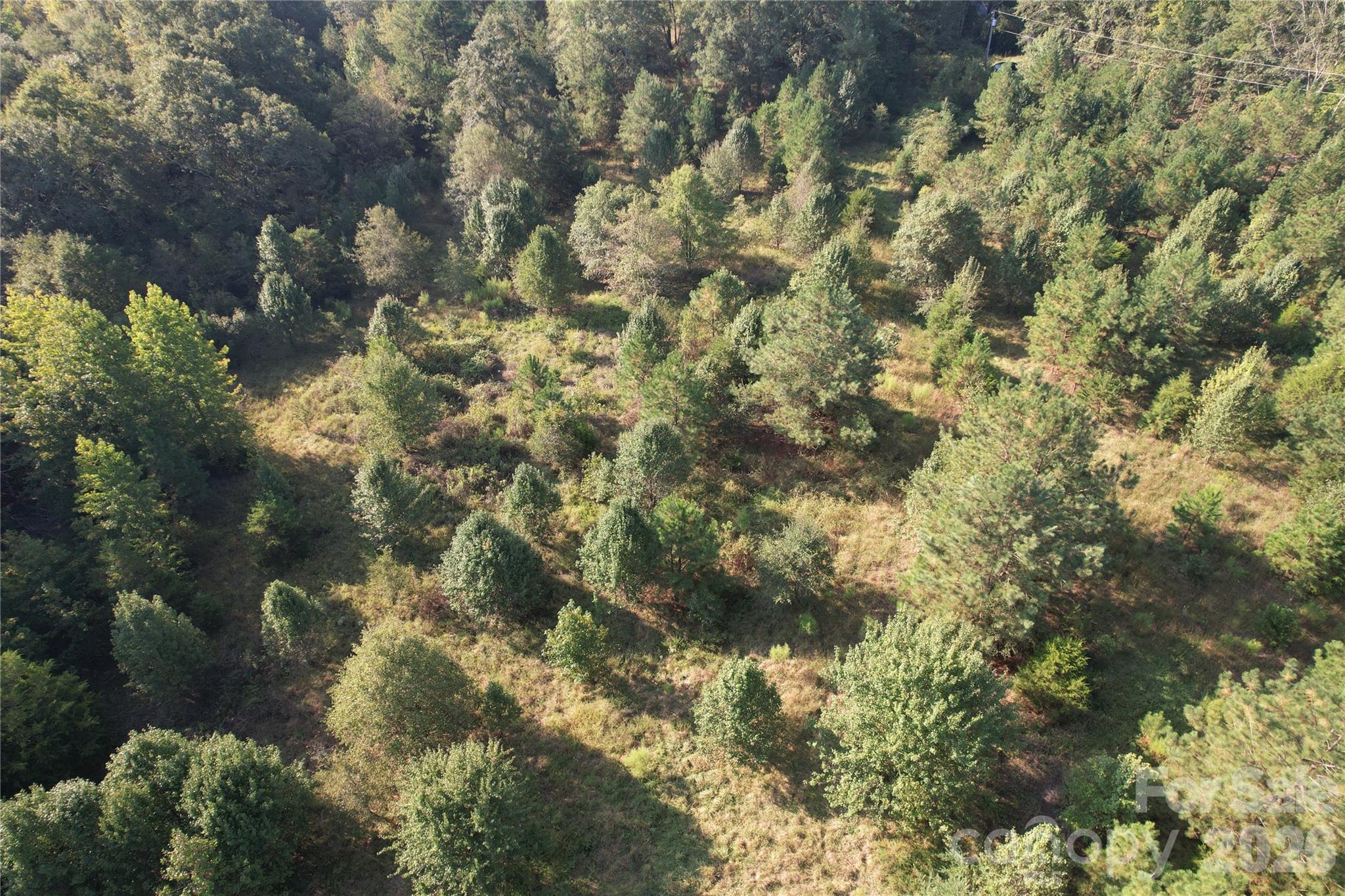 671 Hames Ridge Road Property Photo 21