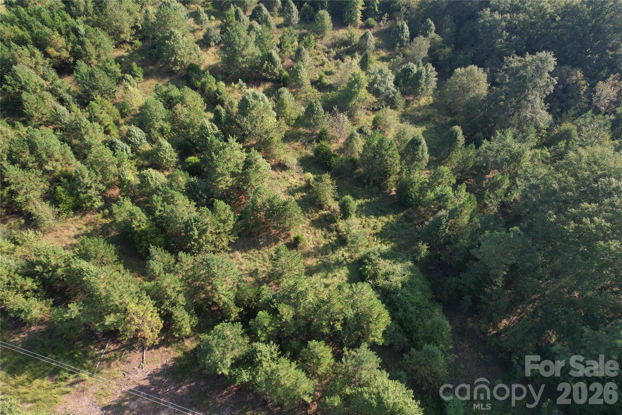 671 Hames Ridge Road Property Photo 23