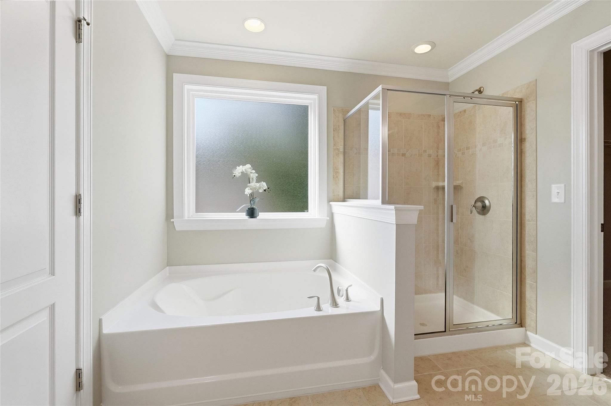 10038 Travertine Trail Property Photo 23