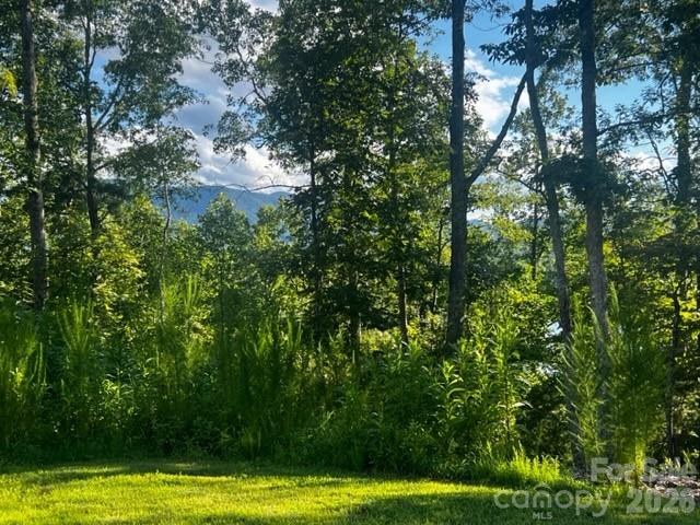 23 Mountain Parkway Property Photo 2