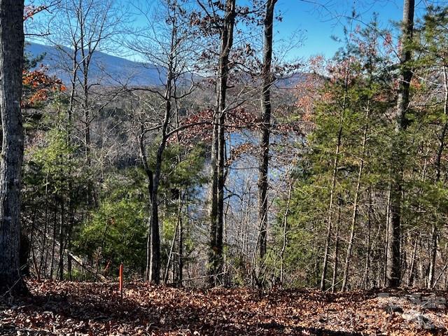 23 Mountain Parkway Property Photo 3