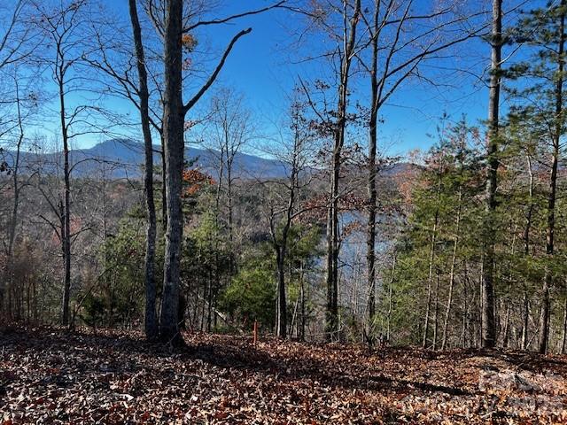 23 Mountain Parkway Property Photo 4