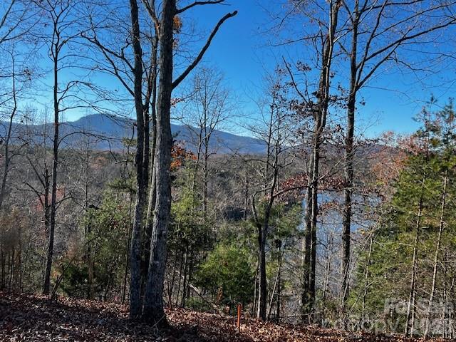 23 Mountain Parkway Property Photo 16