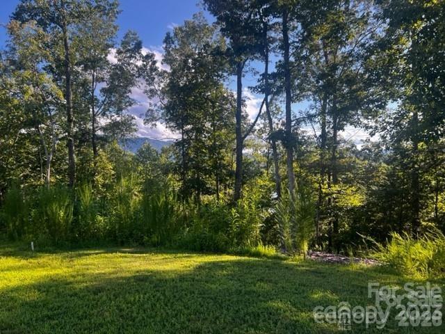 23 Mountain Parkway Property Photo 17