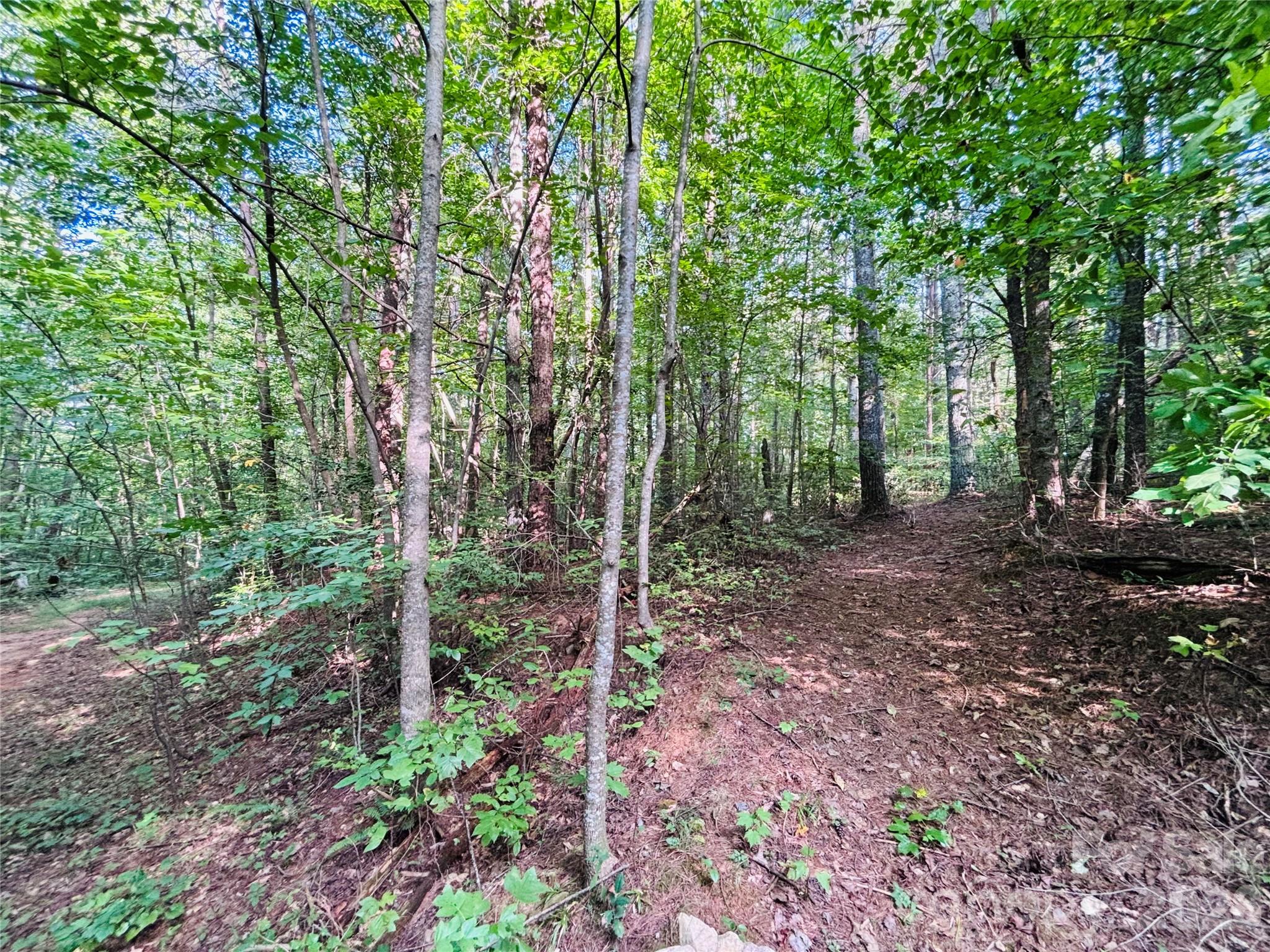 7865 Long Bay Parkway Property Photo 10