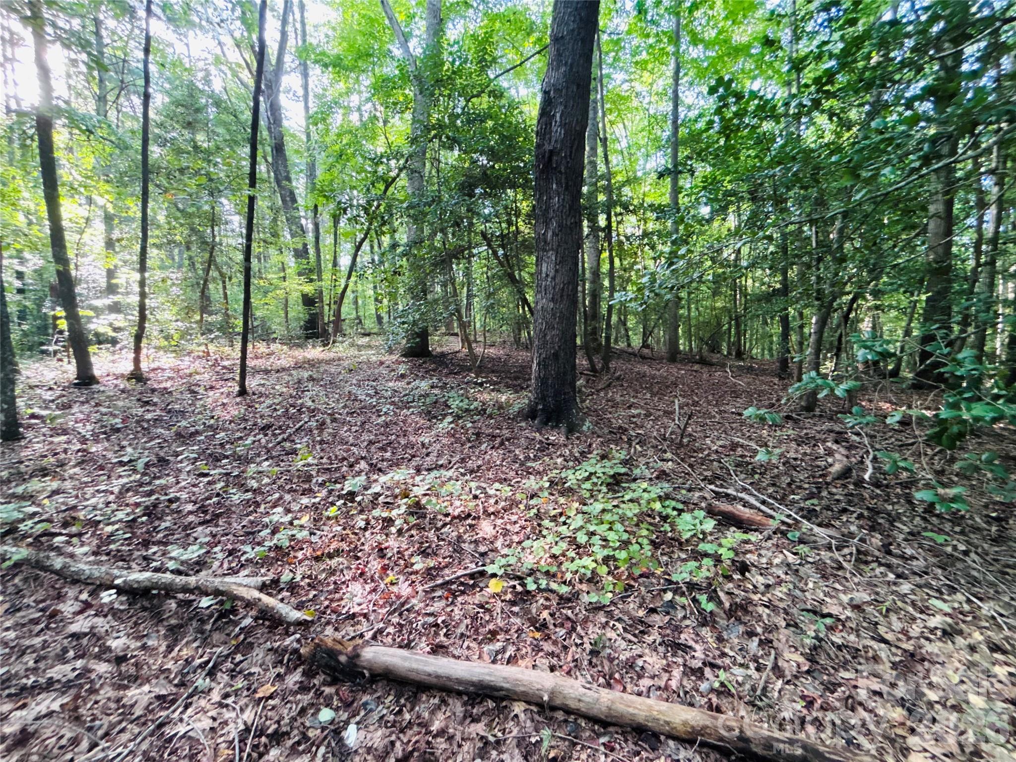 7865 Long Bay Parkway Property Photo 15