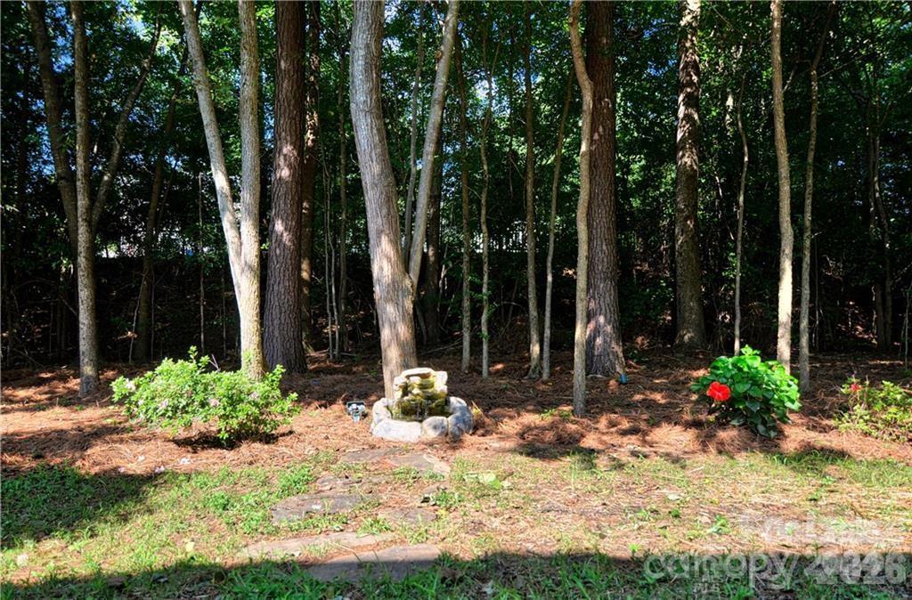 19243 Kanawha Drive Property Photo 18
