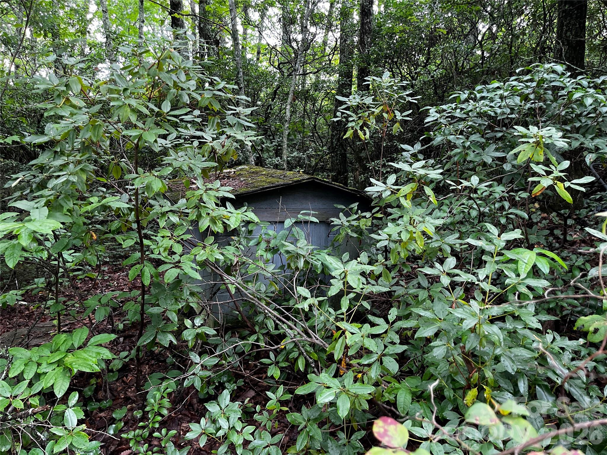 462 Autumn Forest Drive Property Photo 3