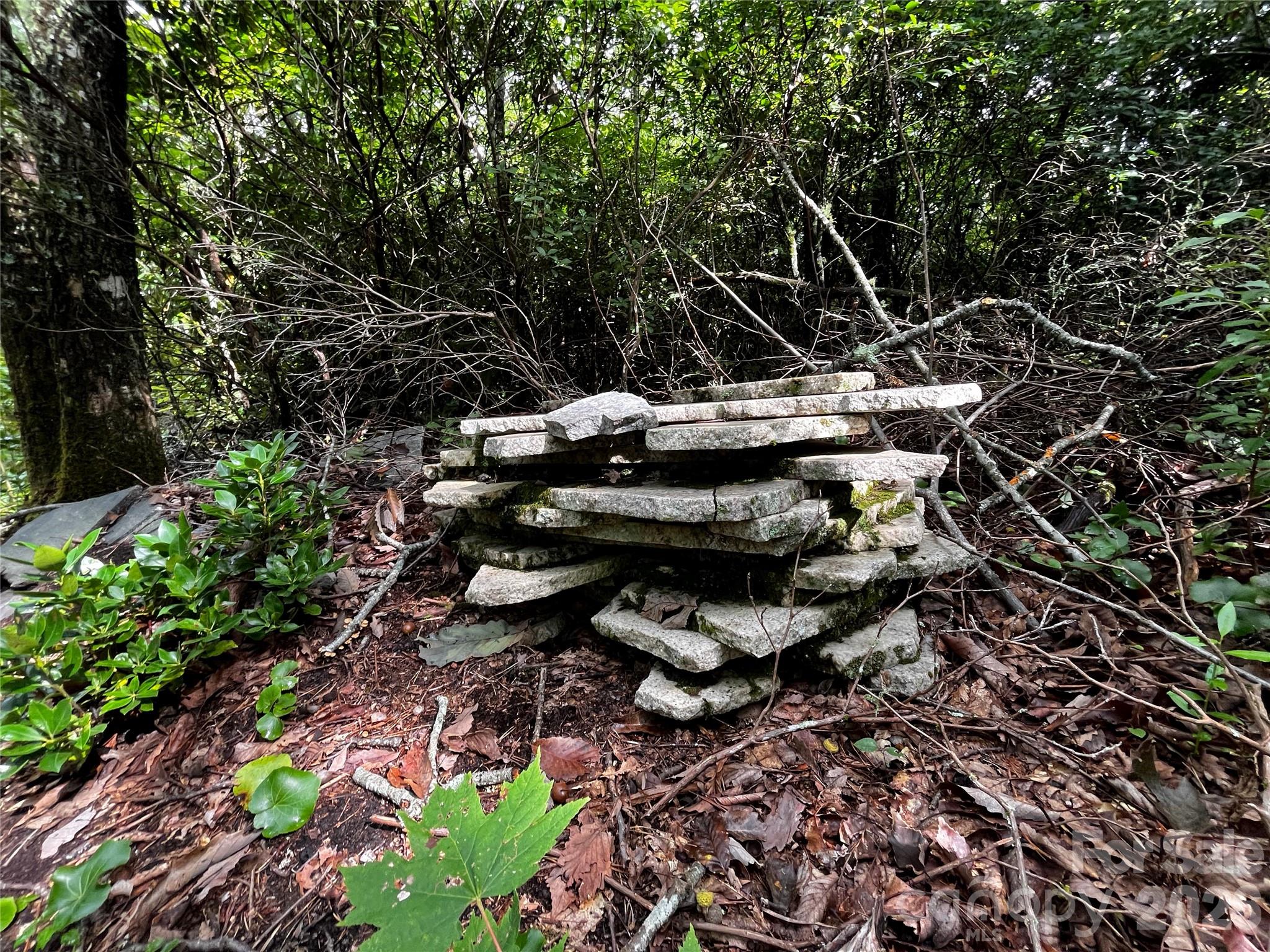 462 Autumn Forest Drive Property Photo 4